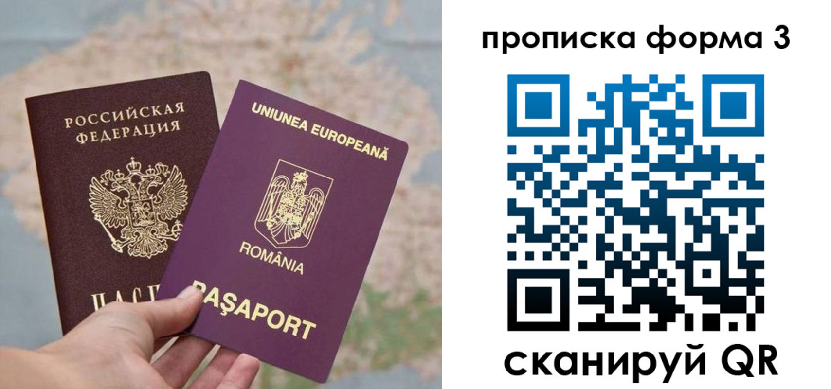 временная регистрация недорого в Алексеевке